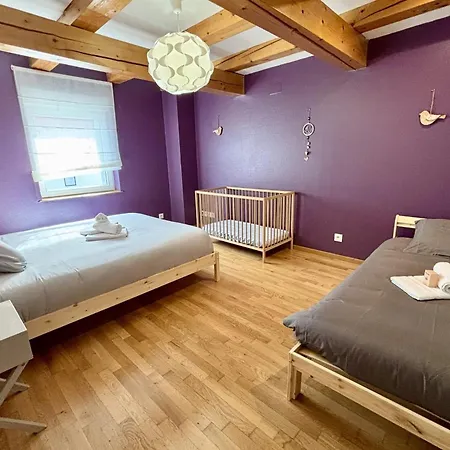 Appartement 250m House Near Strasbourg - Beautiful Terrace